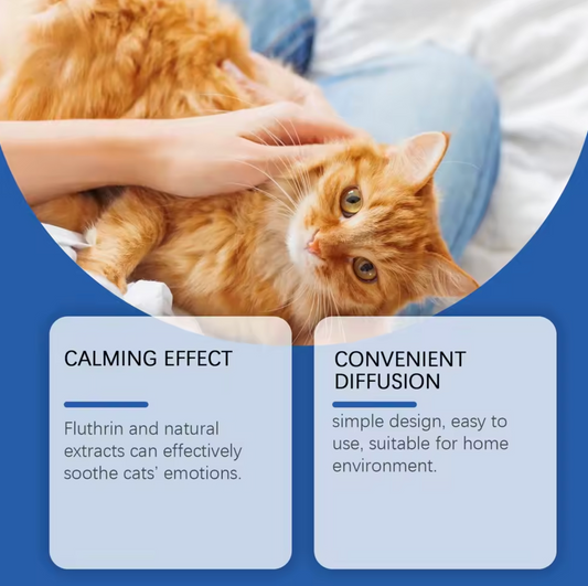 Cats Calming Diffuser Kit