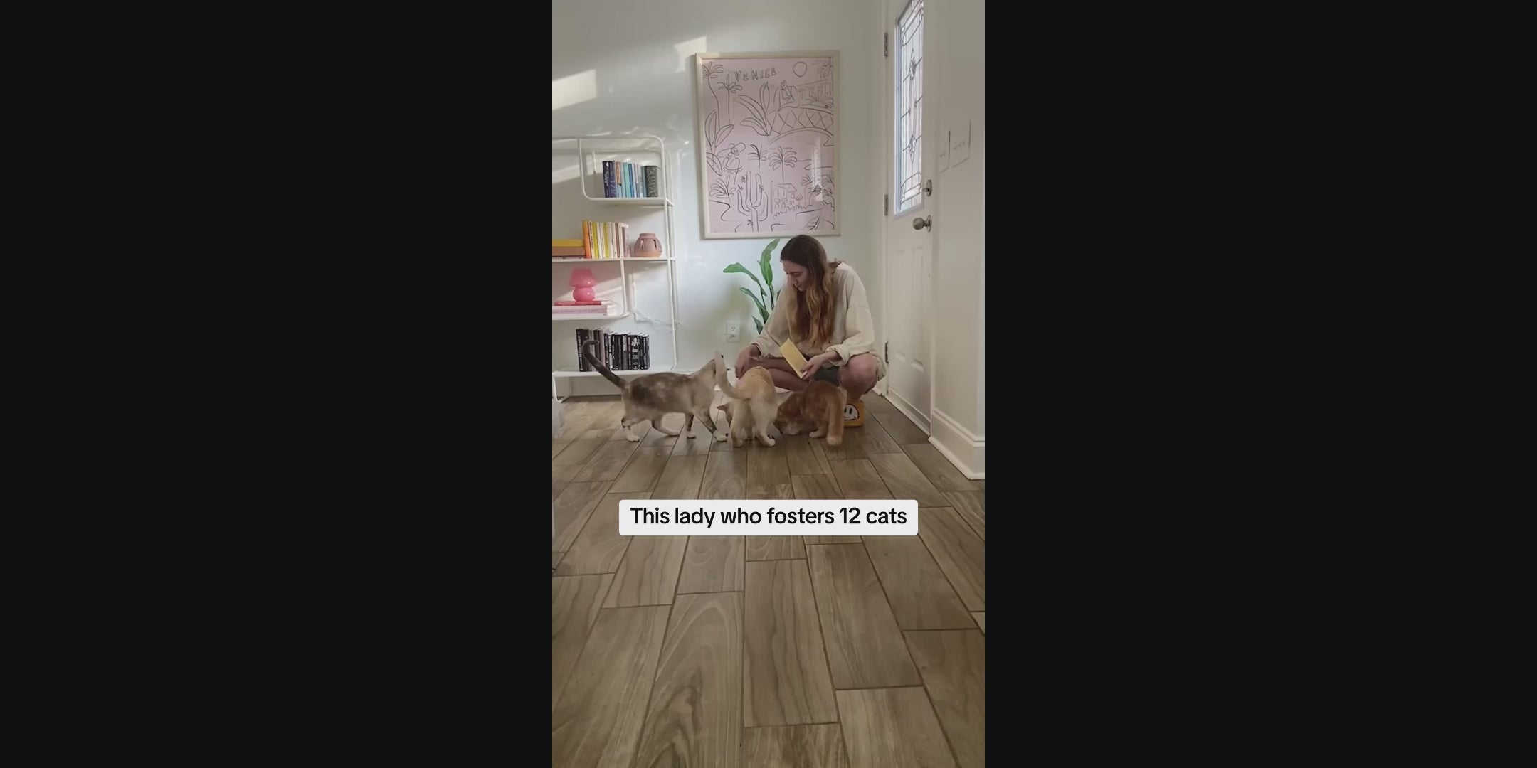 Load video: 